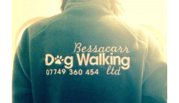 Bessacarr Dog Walking
